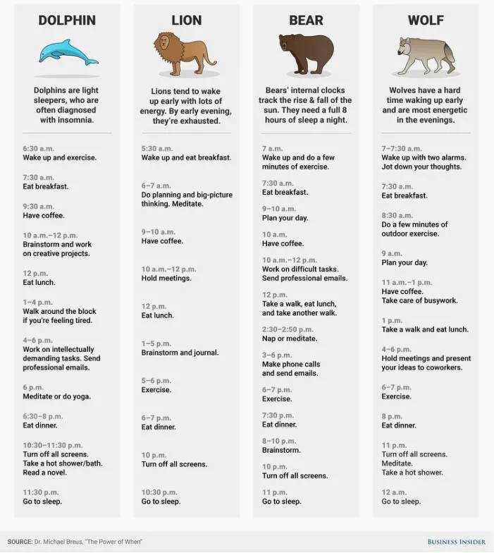 I quattro cronotipi del libro Il potere del quando: Delfino, Leone, Orso e Lupo