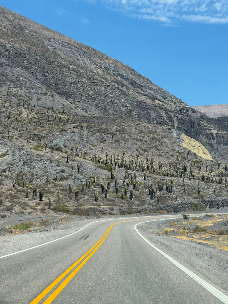 La quebrada fra i cactus, salendo verso l’altopiano. Novembre 2024.