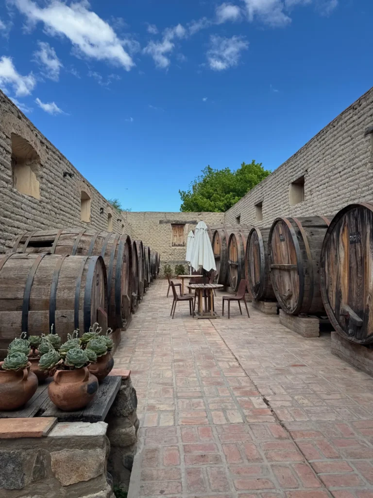 Le botti di una bodega a Cafayate, dove si fa il Torrontés. Novembre 2024.
