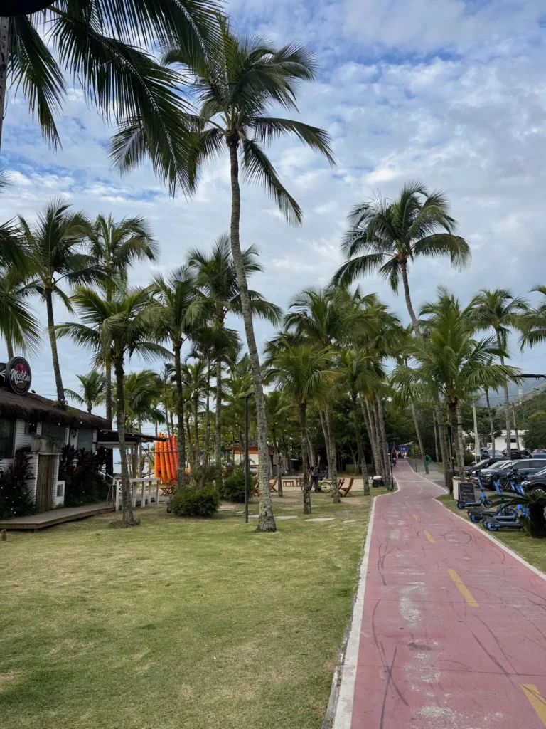 Il lungomare di Ilhabela, con la ciclabile fra le palme. Novembre 2025.