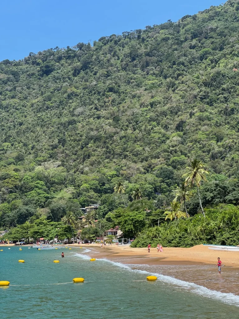 La foresta che scende fino alla sabbia, a Ilha Grande. Ottobre 2024.