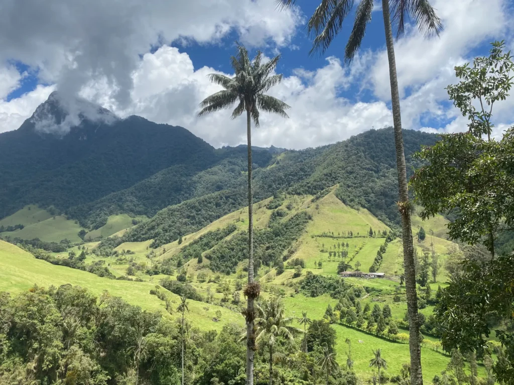 Valle de Cocora, Salento, settembre 2021