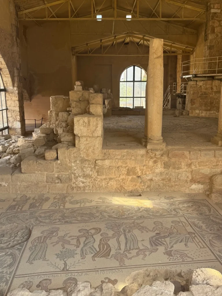 Il mosaico bizantino del parco archeologico di Madaba. Marzo 2025.