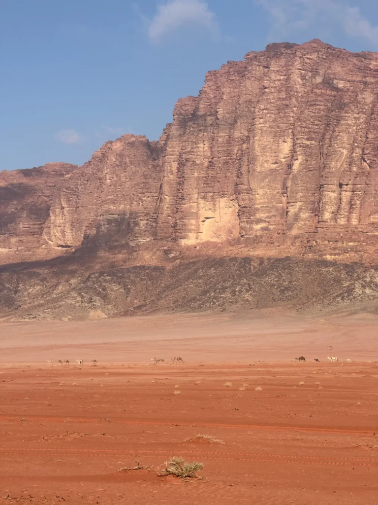 Una parete del Wadi Rum che parte dritta dalla sabbia. Marzo 2025.