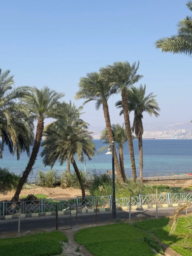 Le palme e il Mar Rosso ad Aqaba. Marzo 2025.