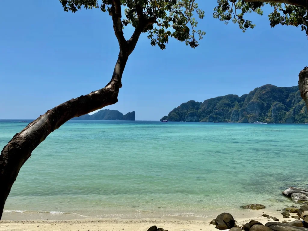 Ko Phi Phi, marzo 2020