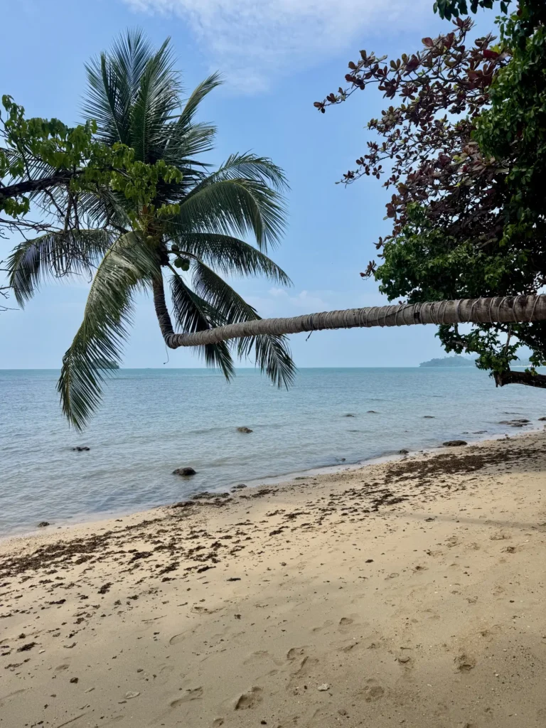 Ko Chang, febbraio 2026