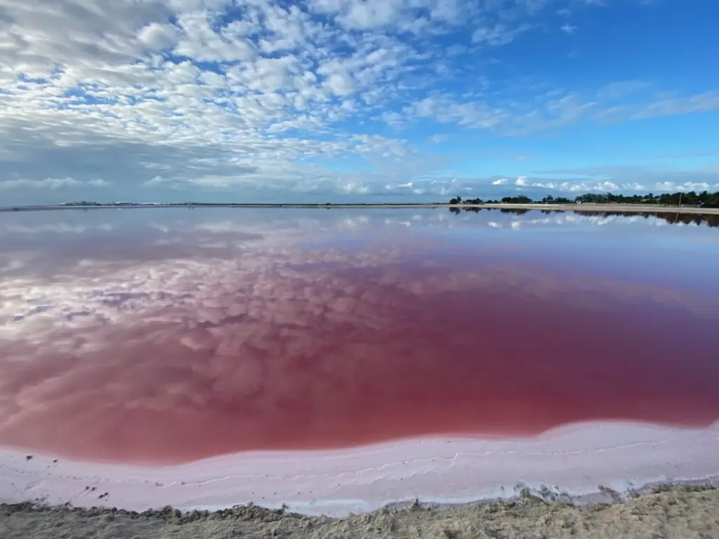 Le vasche rosa della salina di Las Coloradas, novembre 2021